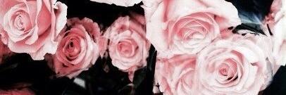 MashulkaLove's profile banner image