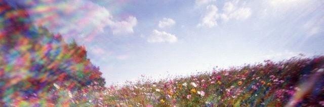 Yo banner