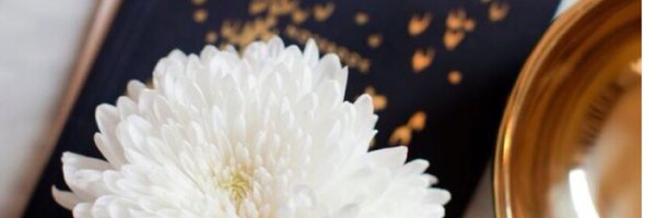 AHIDstudio Profile Banner