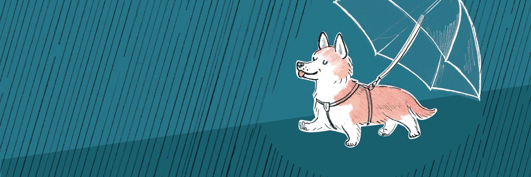 neighb0rlady's profile banner image