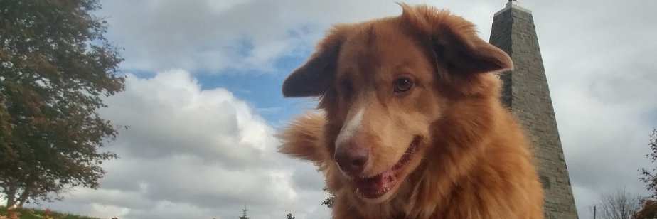 jcleve35's profile banner image