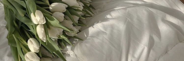 JunitaTL's profile banner image