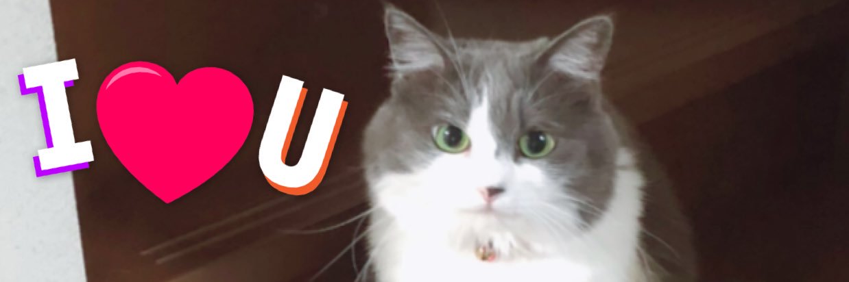 ashkunlove's profile banner image