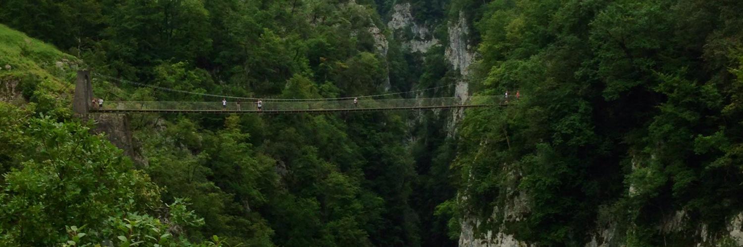 DomGorska's profile banner image