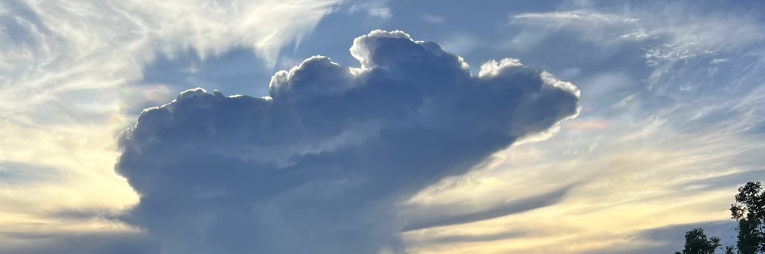Dora banner