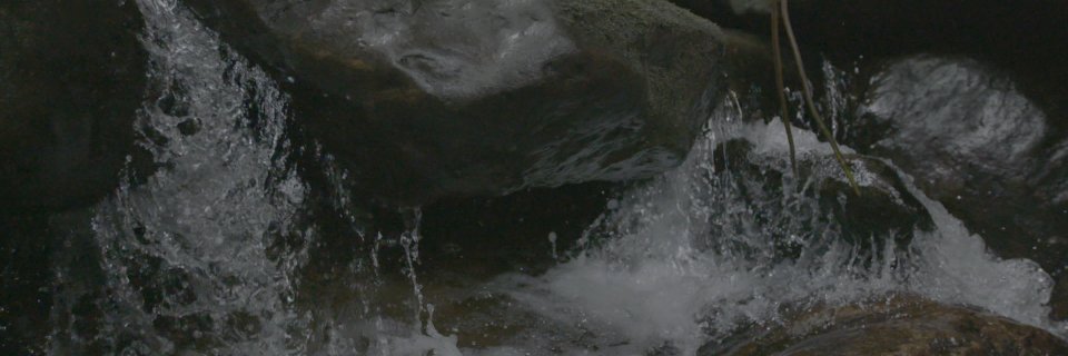 Proj_VOLUMEVIVO's profile banner image
