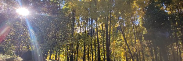 anagili Profile Banner