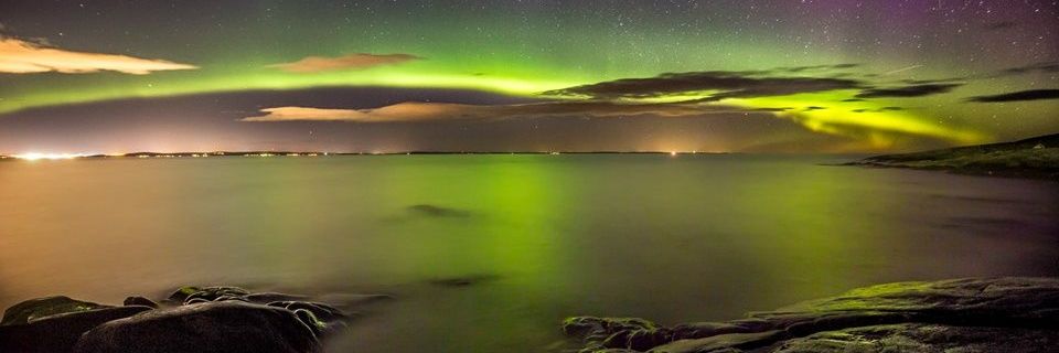 Darlene Mauser banner