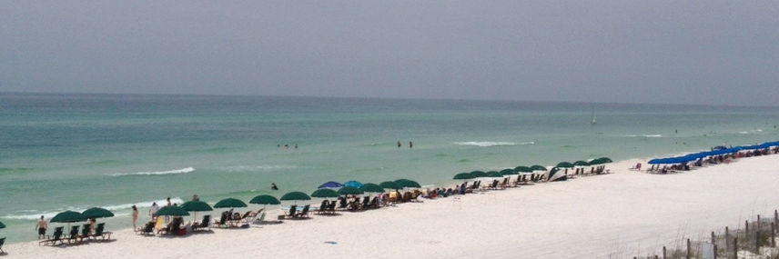 EdgeOnFlorida's profile banner image