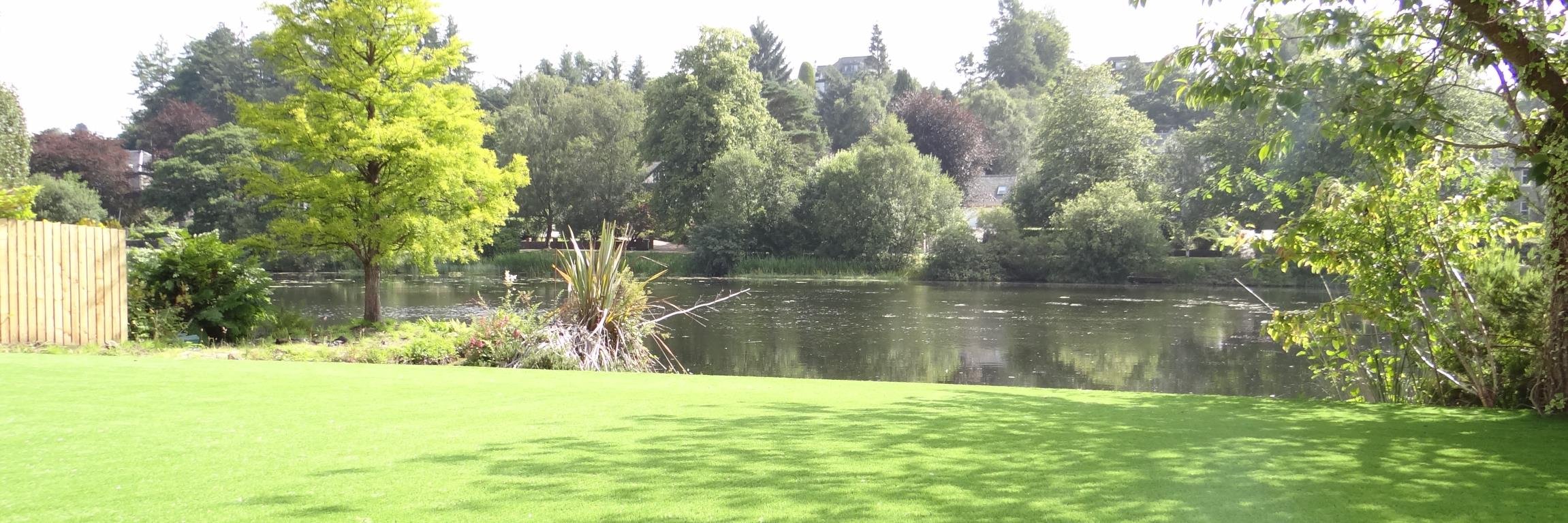 sgsgrass1's profile banner image