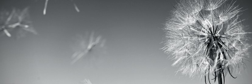 BooksbyHeather's profile banner image