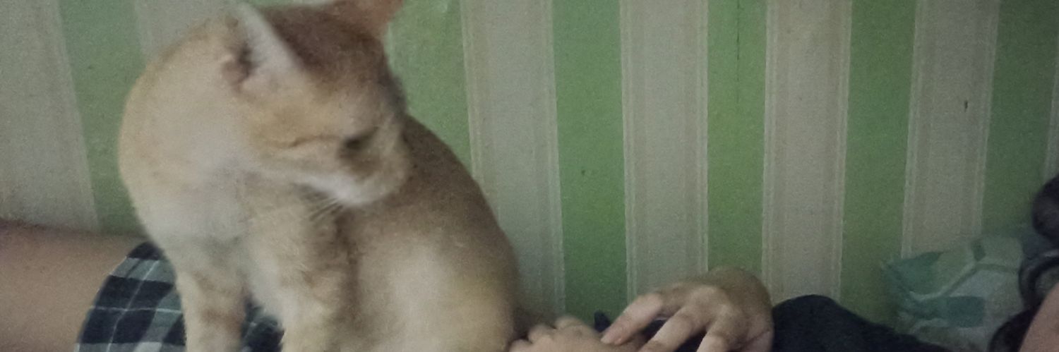 lycajane_'s profile banner image