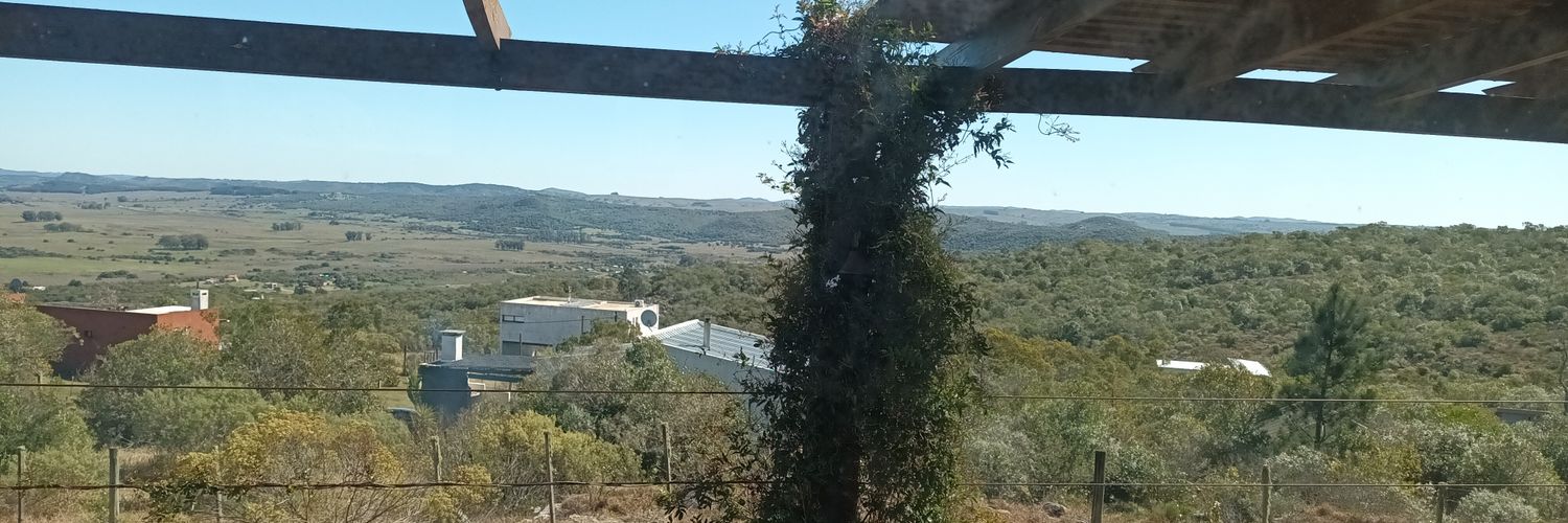 Rafael Paternain banner