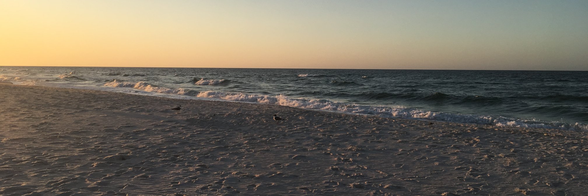 freejon11's profile banner image