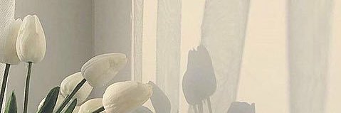 ao__1984's profile banner image