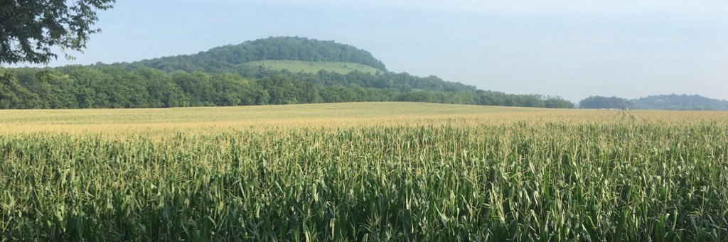 MattBlount858's profile banner image