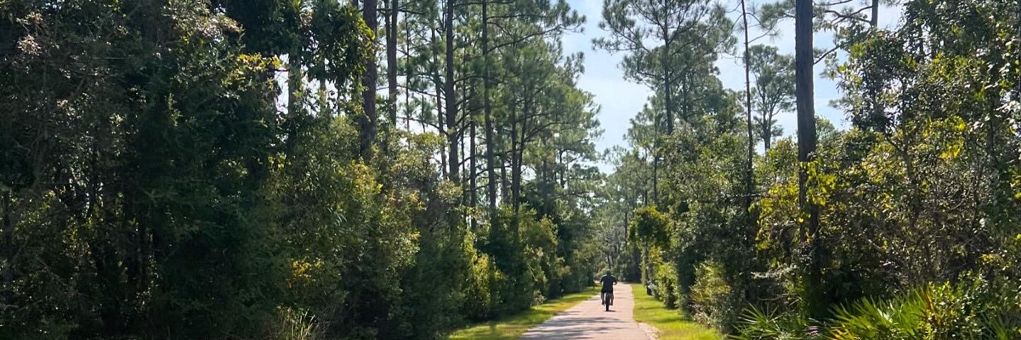 jerilynnowens's profile banner image