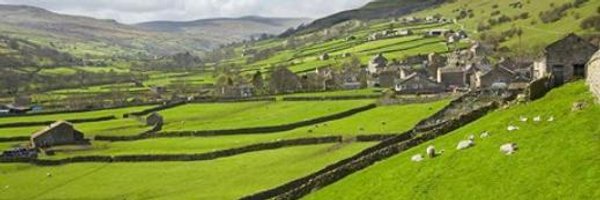 NorthernPrbs Profile Banner