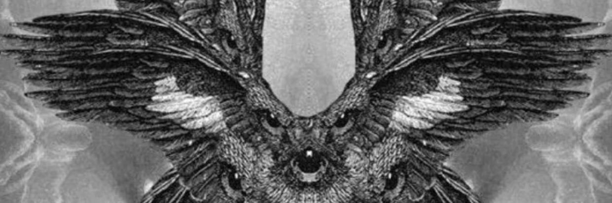 Vnzlan92's profile banner image