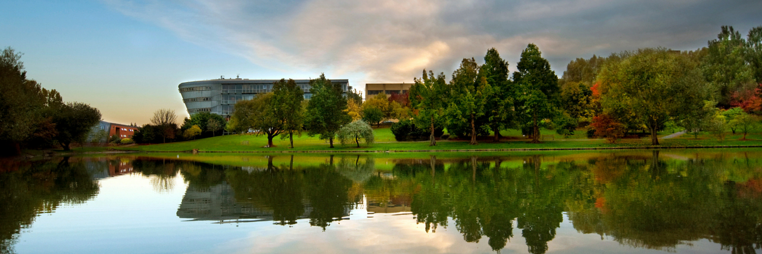 Surrey International banner
