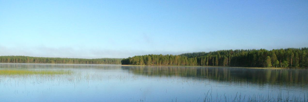 Juho Lipponen banner