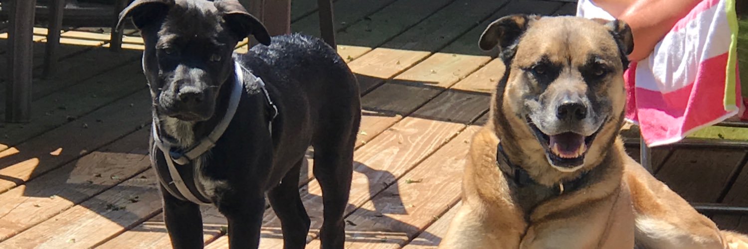 perrycj96's profile banner image