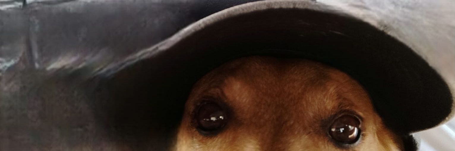 rafabm02's profile banner image