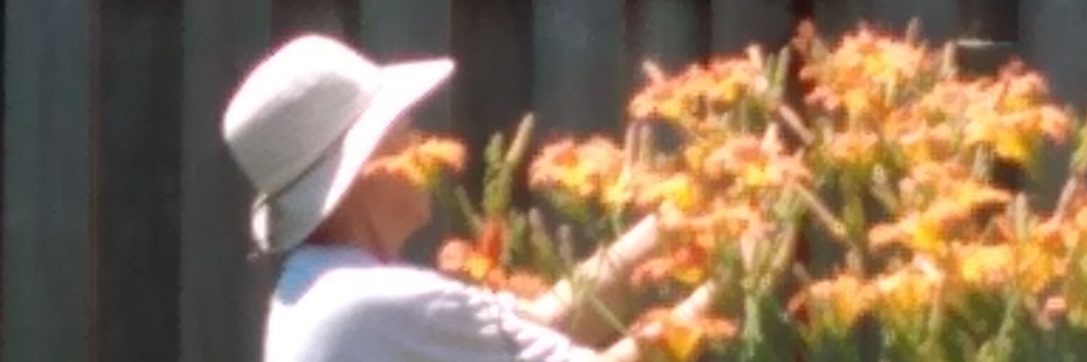 BBast's profile banner image