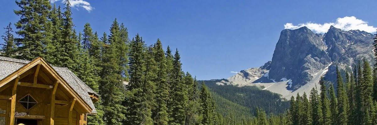 fredsalisbury14's profile banner image