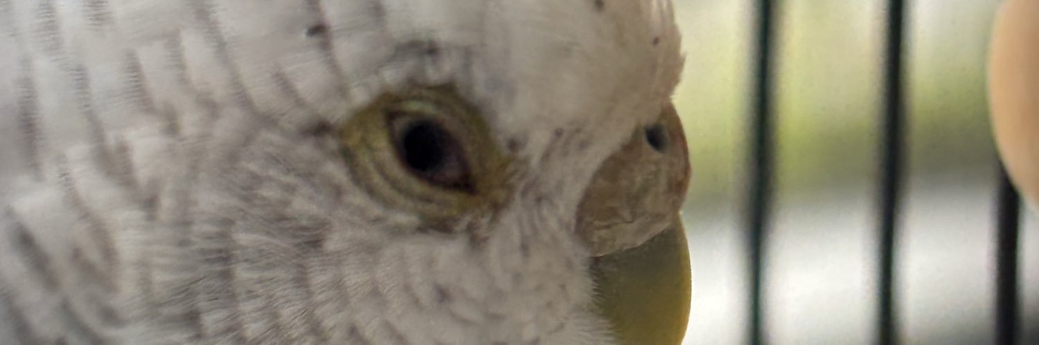 hachixco's profile banner image