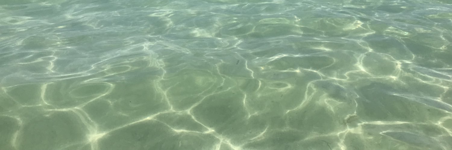Libby_Jarvis's profile banner image