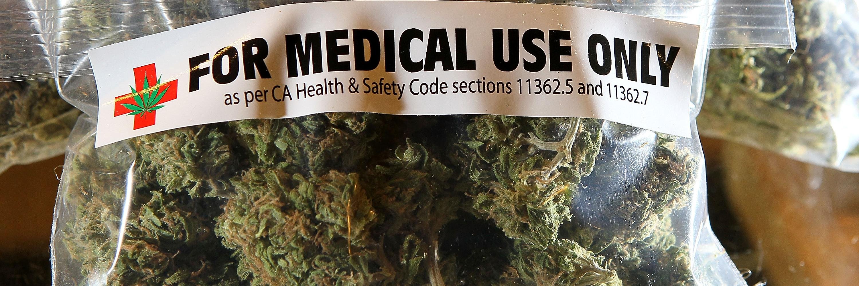 ExtremeGrow420's profile banner image
