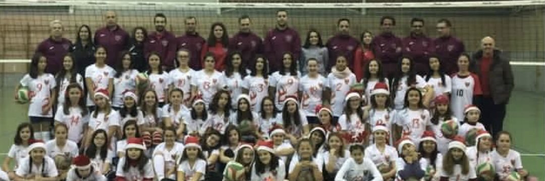 Club Voleibol Mula banner