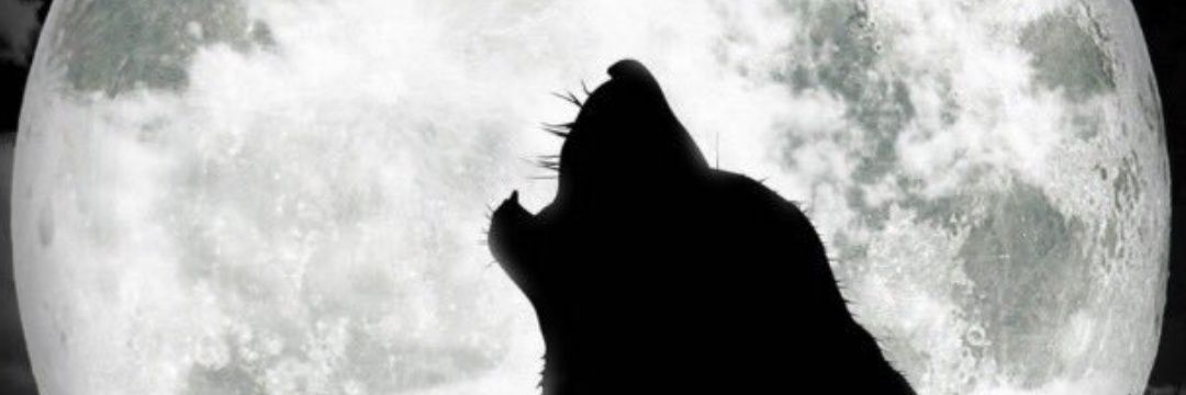 massimo_persia's profile banner image