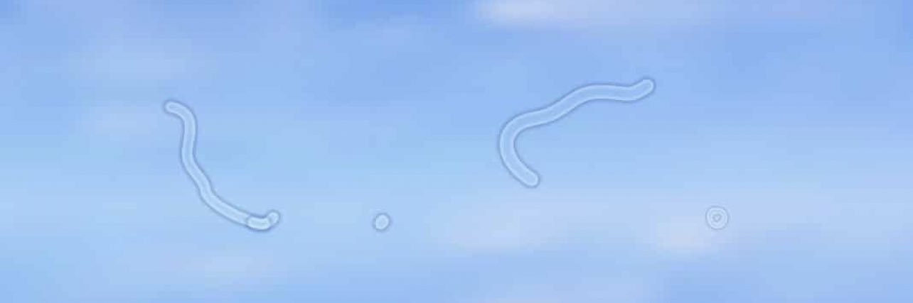 jakey banner