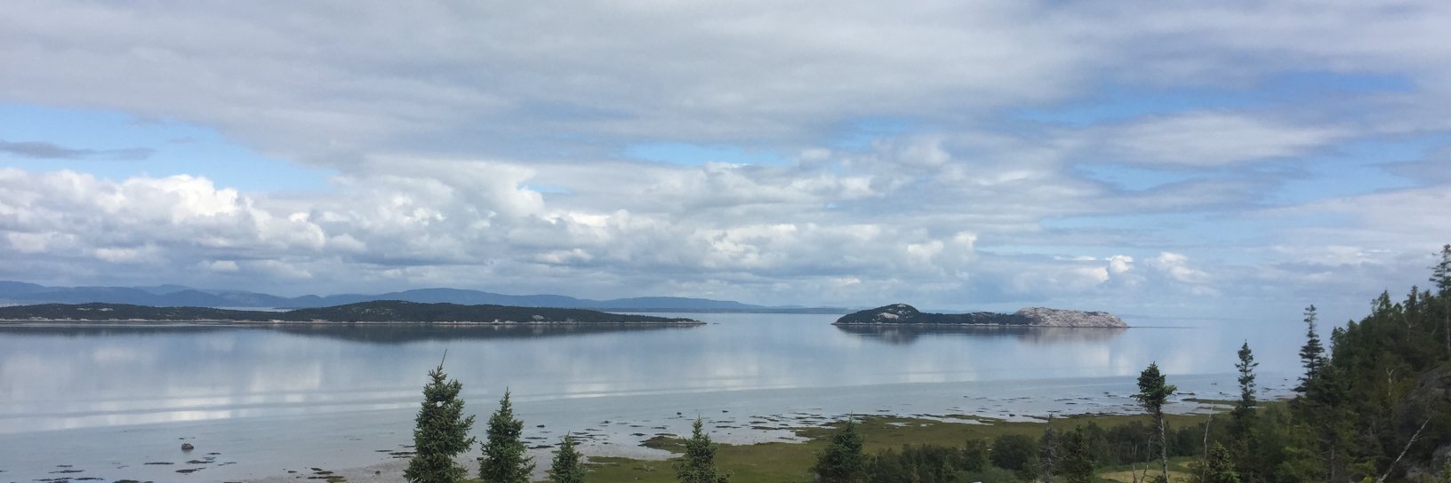 Geneviève Paul banner