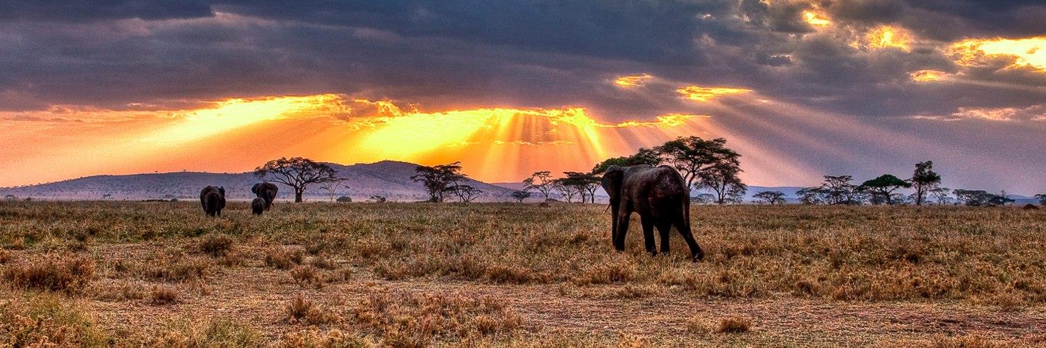 Africa_Library's profile banner image