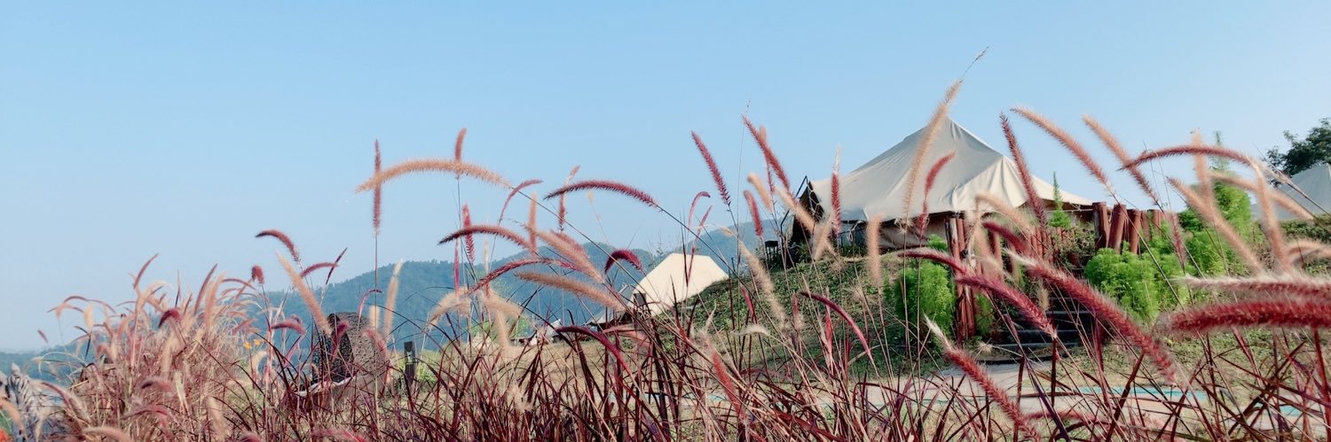 gnTrip banner