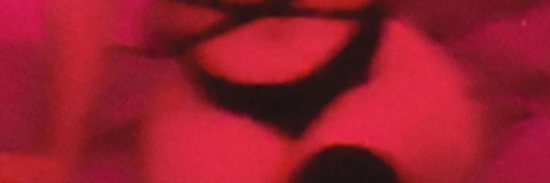ines_015's profile banner image