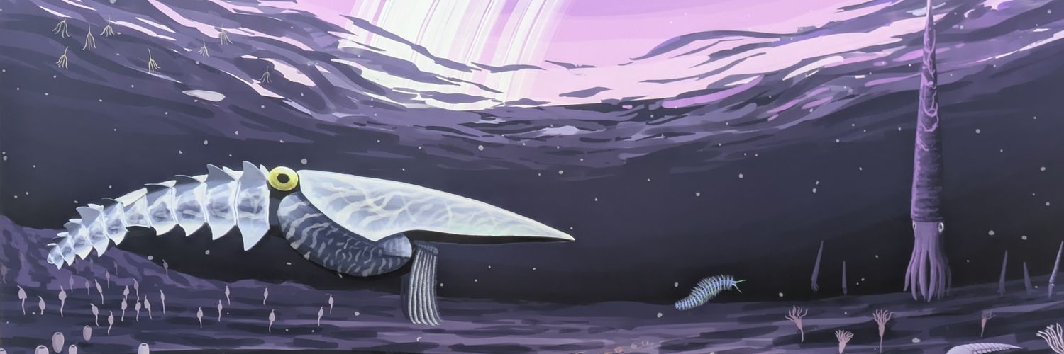 lien_metron's profile banner image