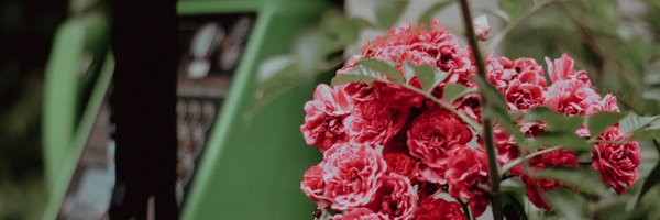 45tilt Profile Banner