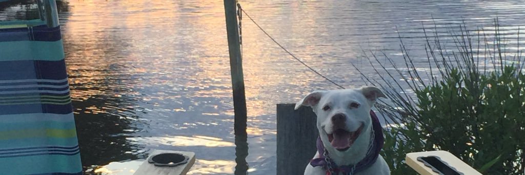 rjizza's profile banner image