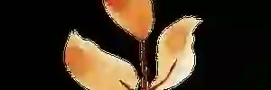 mariequack's profile banner image