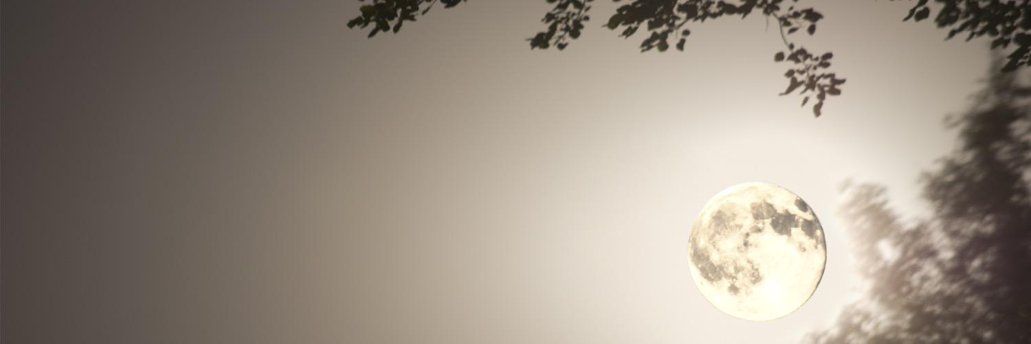 hosinthehighest's profile banner image