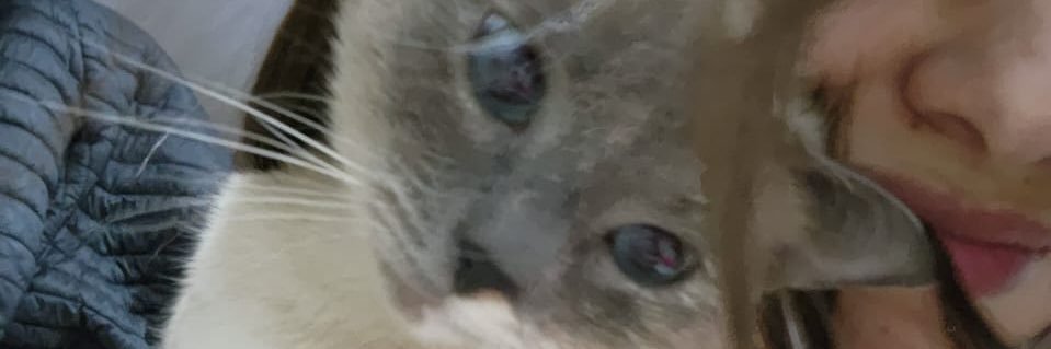 sofi🌸 banner