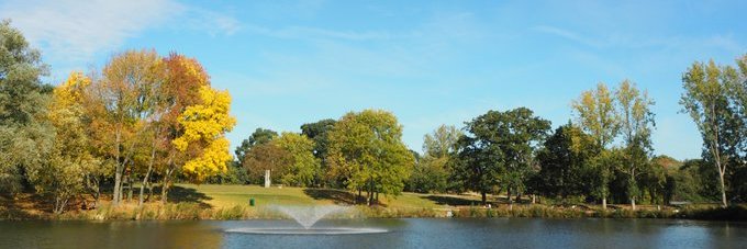 Livewell in Essex♥️💙 banner