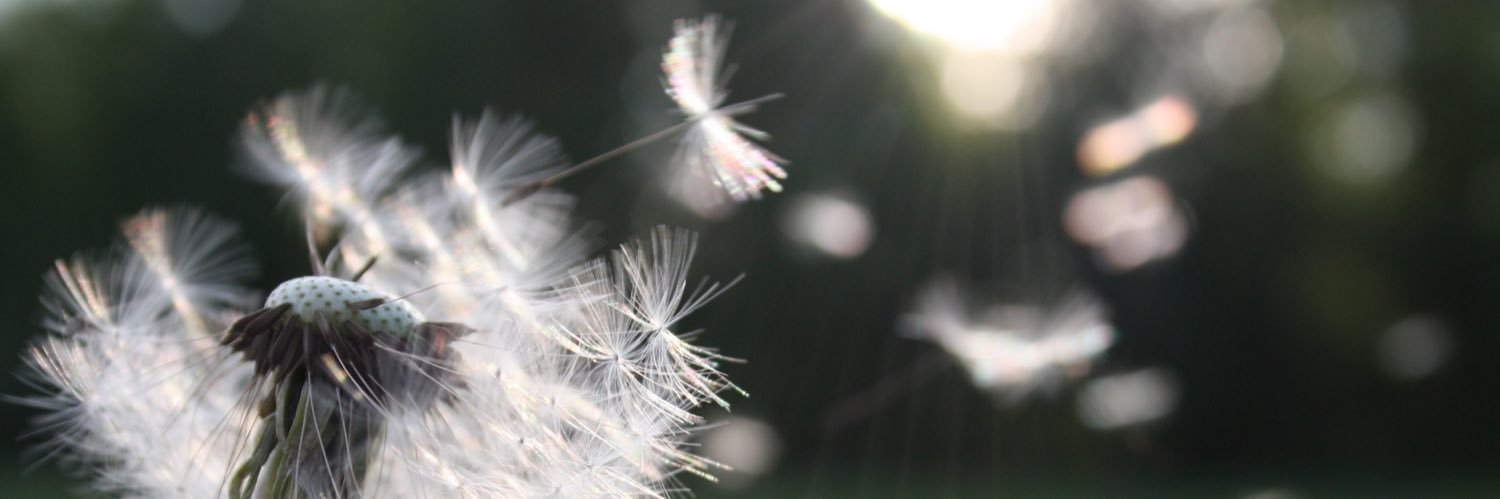 End of Life Studies banner