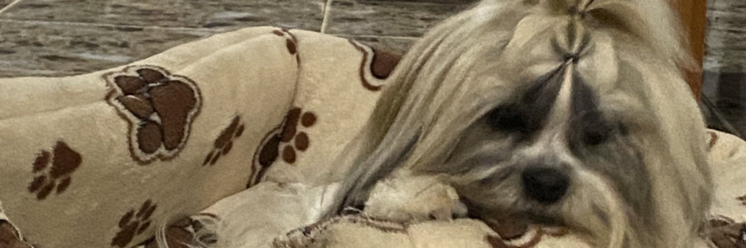 alebolirios's profile banner image