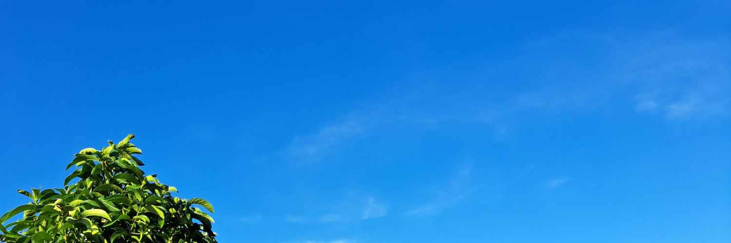 divaindir's profile banner image