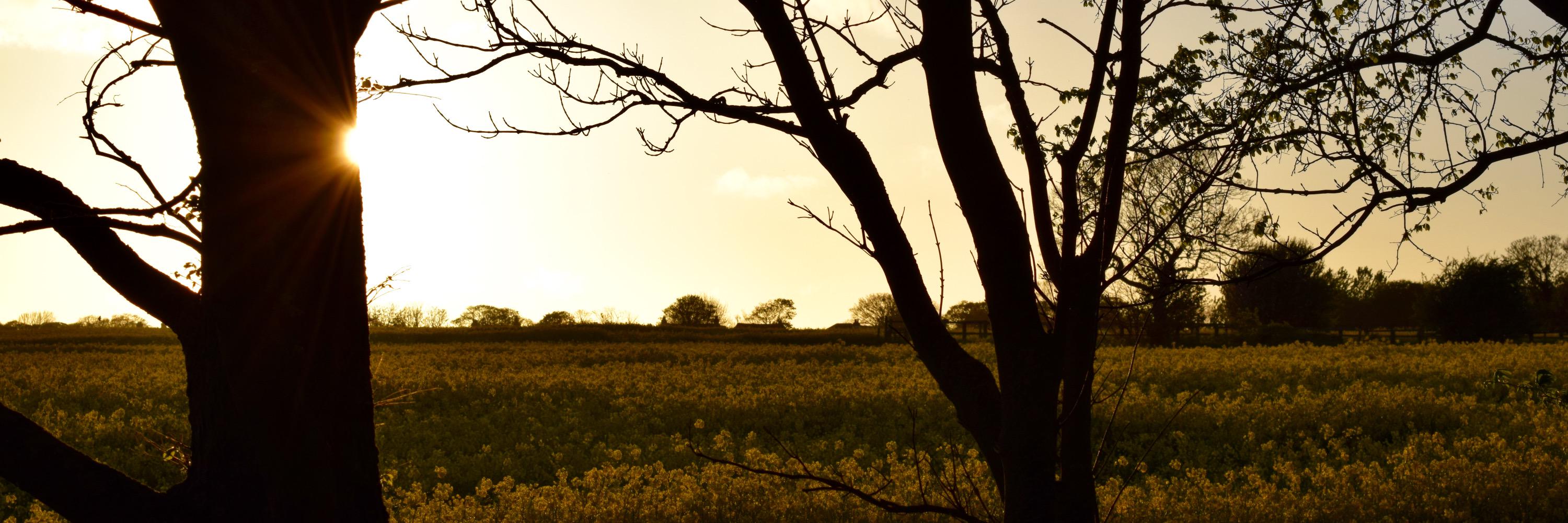 eirajane's profile banner image